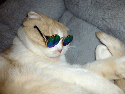 0207aaaaa.gif