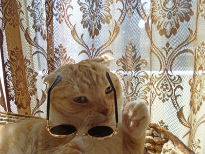 0207ccccc.gif
