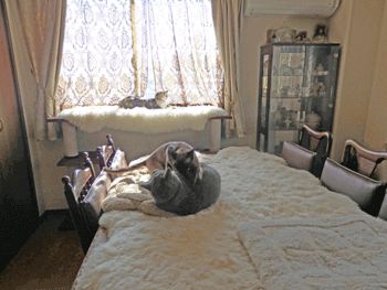 0212aa.gif