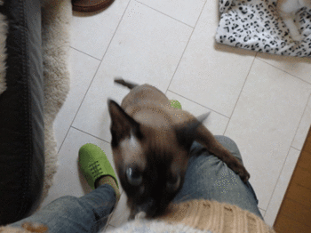 0221oooo.gif