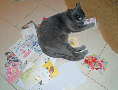 0304aaaa.gif