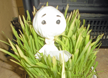 0305eeee.gif