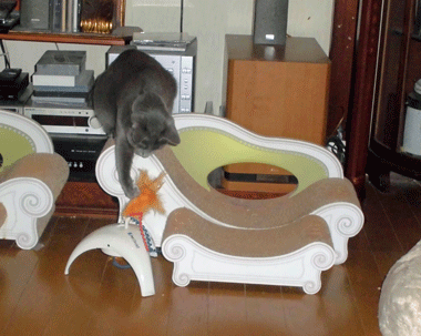 0306bbbb.gif
