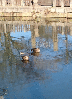 0306bbbbbbb.gif