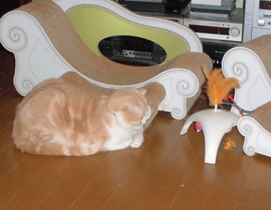 0306eee.gif