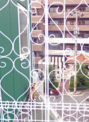 0308bbb.gif