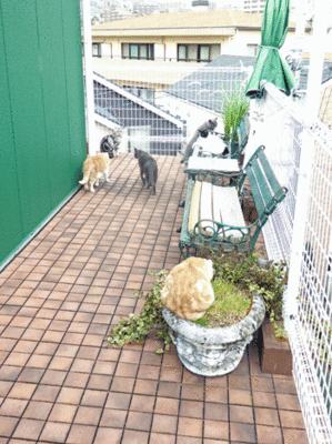 0308ccc.gif