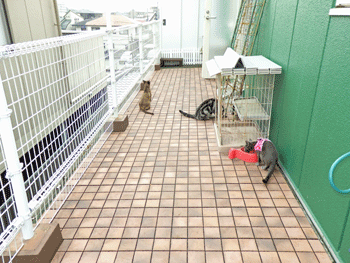 0308ddd.gif