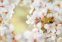 0331bbb.gif