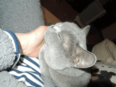 0404bbbbb.gif