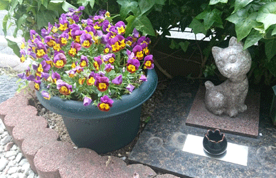 0405bbbbbb.gif