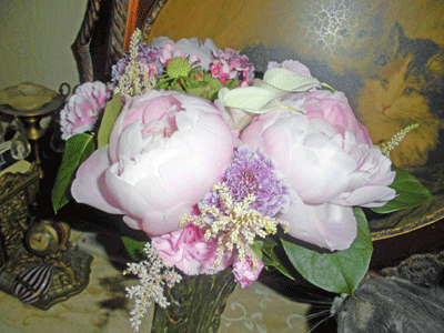 0508aaaaaa.gif