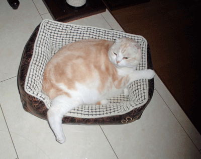 0511ccccc.gif