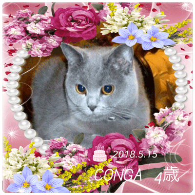 0515aaaa.gif