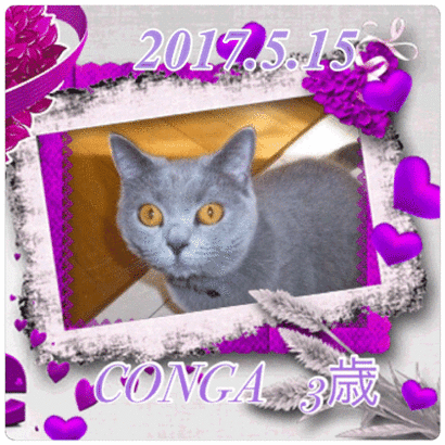 0515vvvvv.gif
