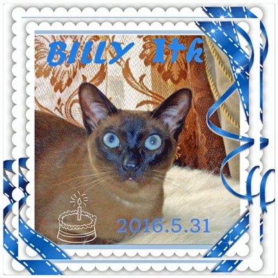 0531bbb.gif