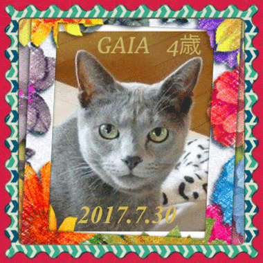 0730aaaaaaa.gif