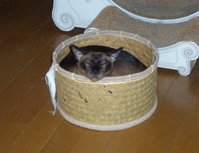 0802eeeee.gif