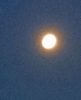 0806cccccc.gif