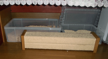 0930bbbbbb.gif