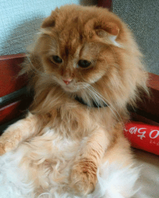 1127bbb.gif