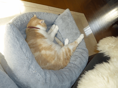 1205ccccc.gif