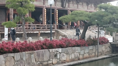 1219ppp.gif