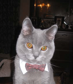 IMG_1287-(0).gif